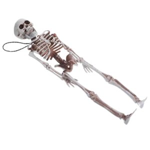 Hohopeti Skeleton Man Model Mannequins Halloween Decor Halloween Decoration Halloween Decor Decorate Statue Plastic Skeleton Decoration Mini Human Skeleton Plastic White