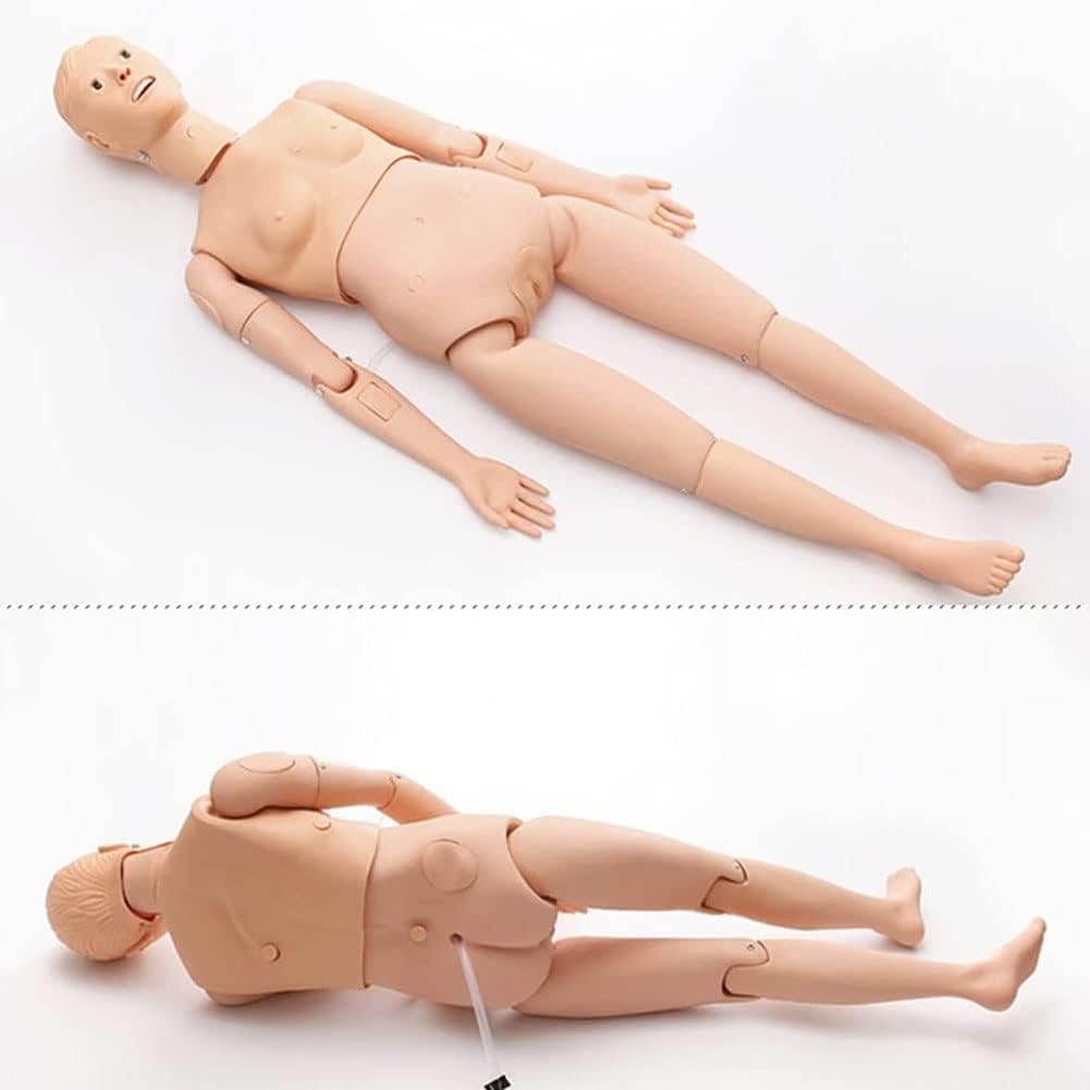 Multifunctional Nursing Training Medical Model Human Body Model Resuscitation Surgery Teaching Simulation Rubber Doll for Men and Women – Bild 2