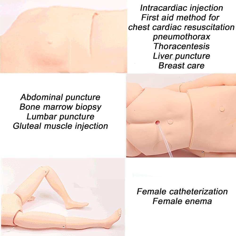 Multifunctional Nursing Training Medical Model Human Body Model Resuscitation Surgery Teaching Simulation Rubber Doll for Men and Women – Bild 5
