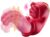 3in1 Dildo Vibrator Sex Spielzeug Realistische Zunge Vibratoren Klitoris Nippel Stimulator G Punkt Massagegerät Vibratoren mit Klitorisstimulation für Frauen Solo Vibrator Frauen Paare Erotik sex toys