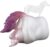 Pocket Pussy Masturbating for Men, 2 in 1 3D Dual Channel Realistic Animal Masturbator, Silicone Vagina and Anus Portable Pocket Pussy Erotic Sex Toy for Men Solo (G6263)